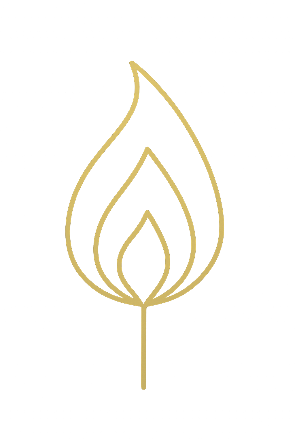 Leadership Development